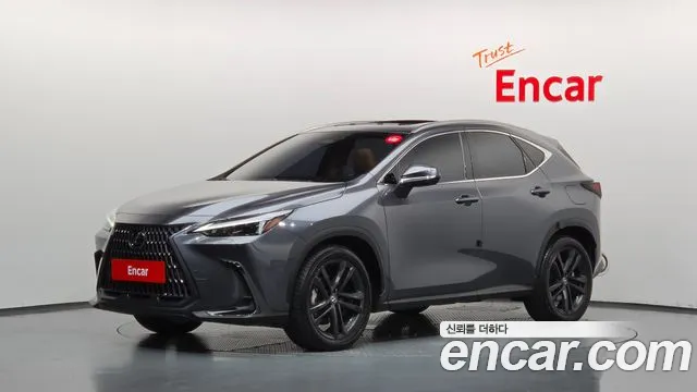 Lexus NX — экстерьер