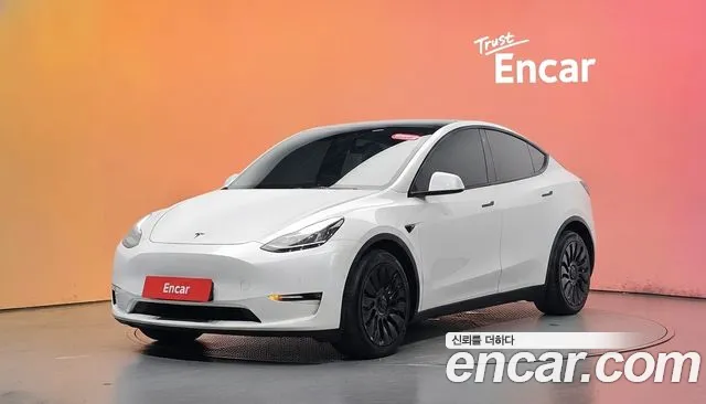 Tesla Model Y — экстерьер
