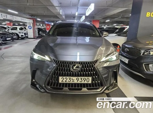 Lexus NX — экстерьер