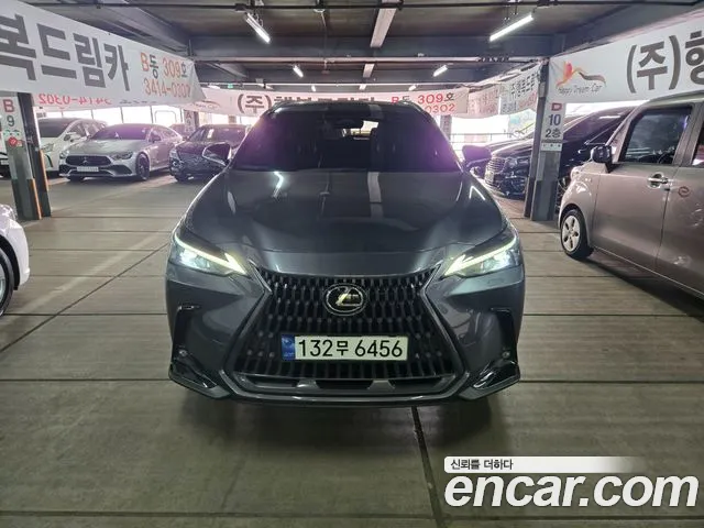 Lexus NX — экстерьер