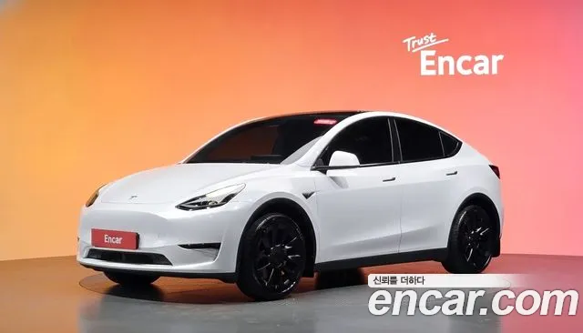 Tesla Model Y — экстерьер