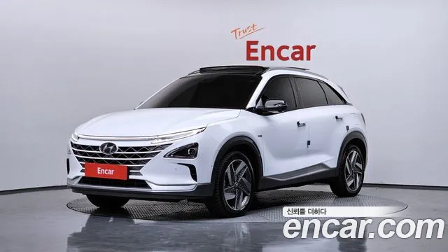 Hyundai Nexo 2020 — фото 1