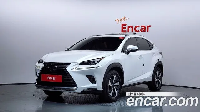 Lexus NX 2019 — фото 1