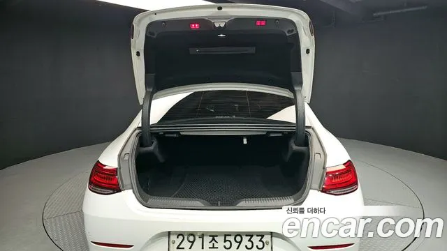 Mercedes-Benz CLS-Class 2019 — фото 20