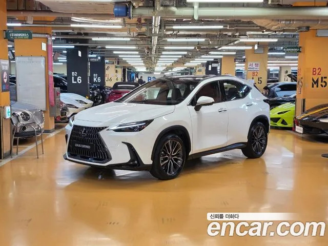 Lexus NX 2026 — фото 1