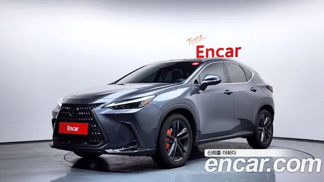 Lexus NX 2024 — фото 1