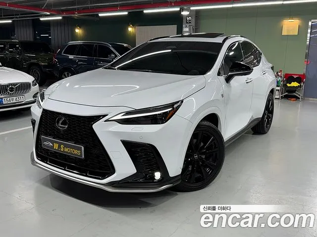 Lexus NX 2024 — фото 1
