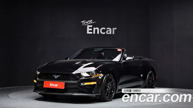 Ford Mustang 2019 — фото 1