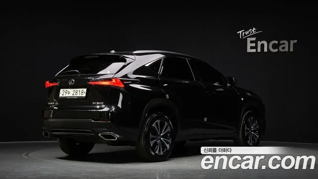 Lexus NX 2019 — фото 2