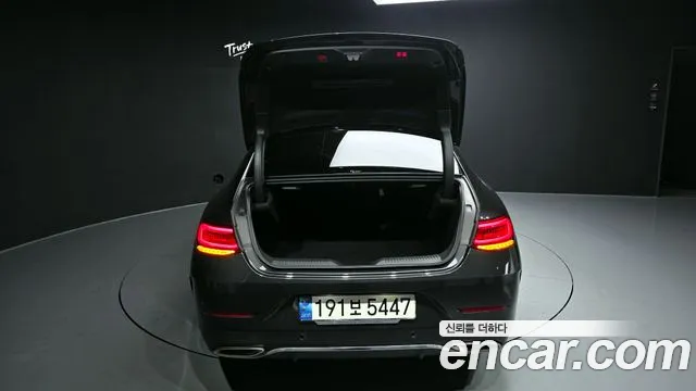Mercedes-Benz CLS-Class 2020 — фото 20