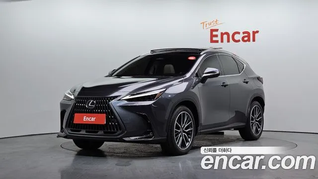 Lexus NX 2025 — фото 1