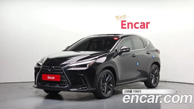 Lexus NX 2024 — фото 1