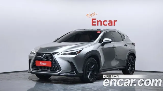 Lexus NX 2024 — фото 1