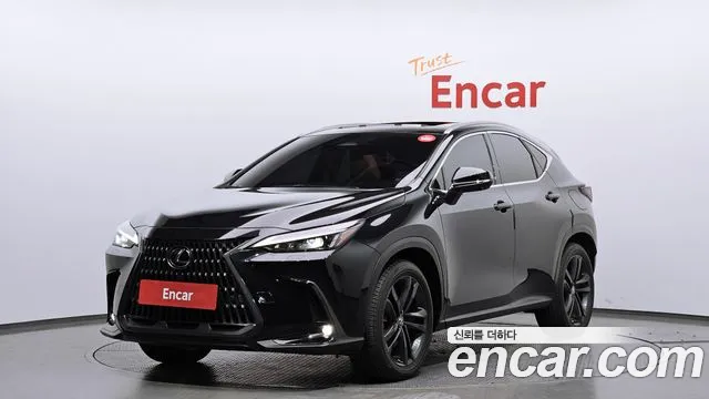 Lexus NX 2023 — фото 1