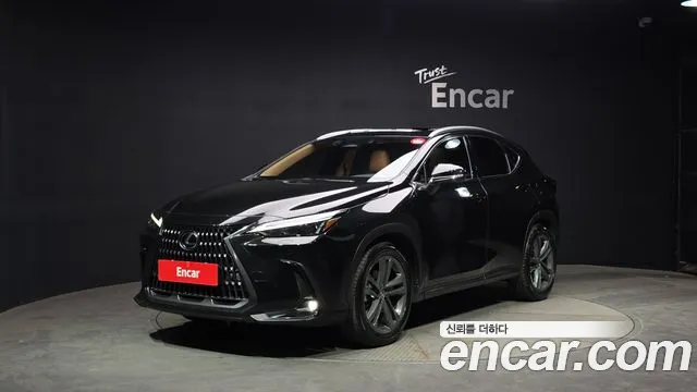 Lexus NX 2024 — фото 1