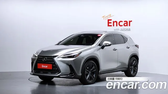 Lexus NX 2024 — фото 1