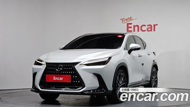 Lexus NX 2024 — фото 1