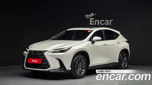 Lexus NX 2025 — фото 1