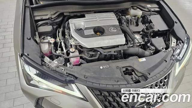 Lexus UX 2020 — фото 6