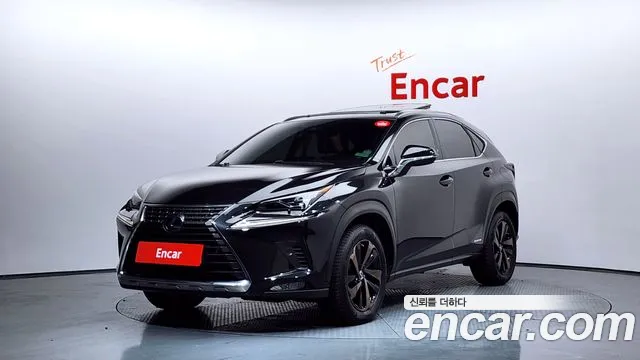 Lexus NX 2020 — фото 1