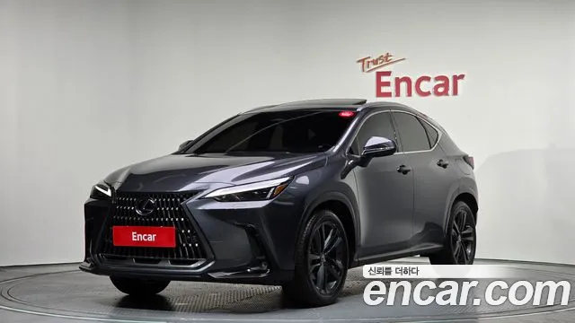 Lexus NX 2025 — фото 1