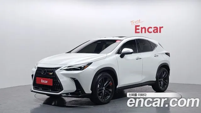 Lexus NX 2024 — фото 1