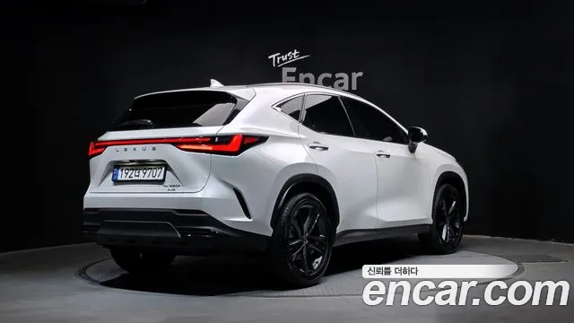 Lexus NX 2024 — фото 2