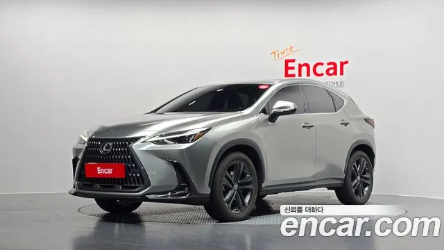 Lexus NX 2023 — фото 1