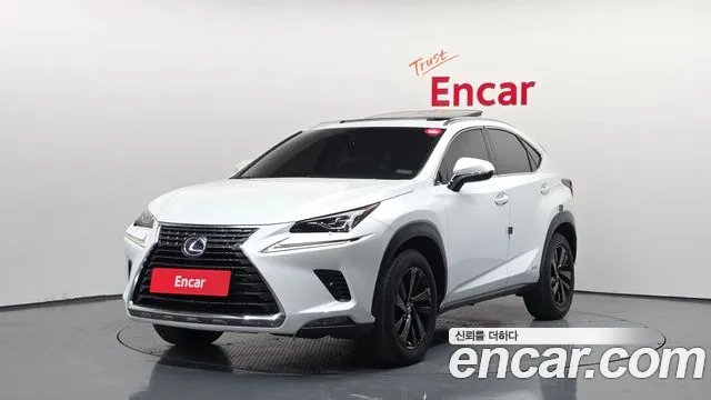 Lexus NX 2018 — фото 1