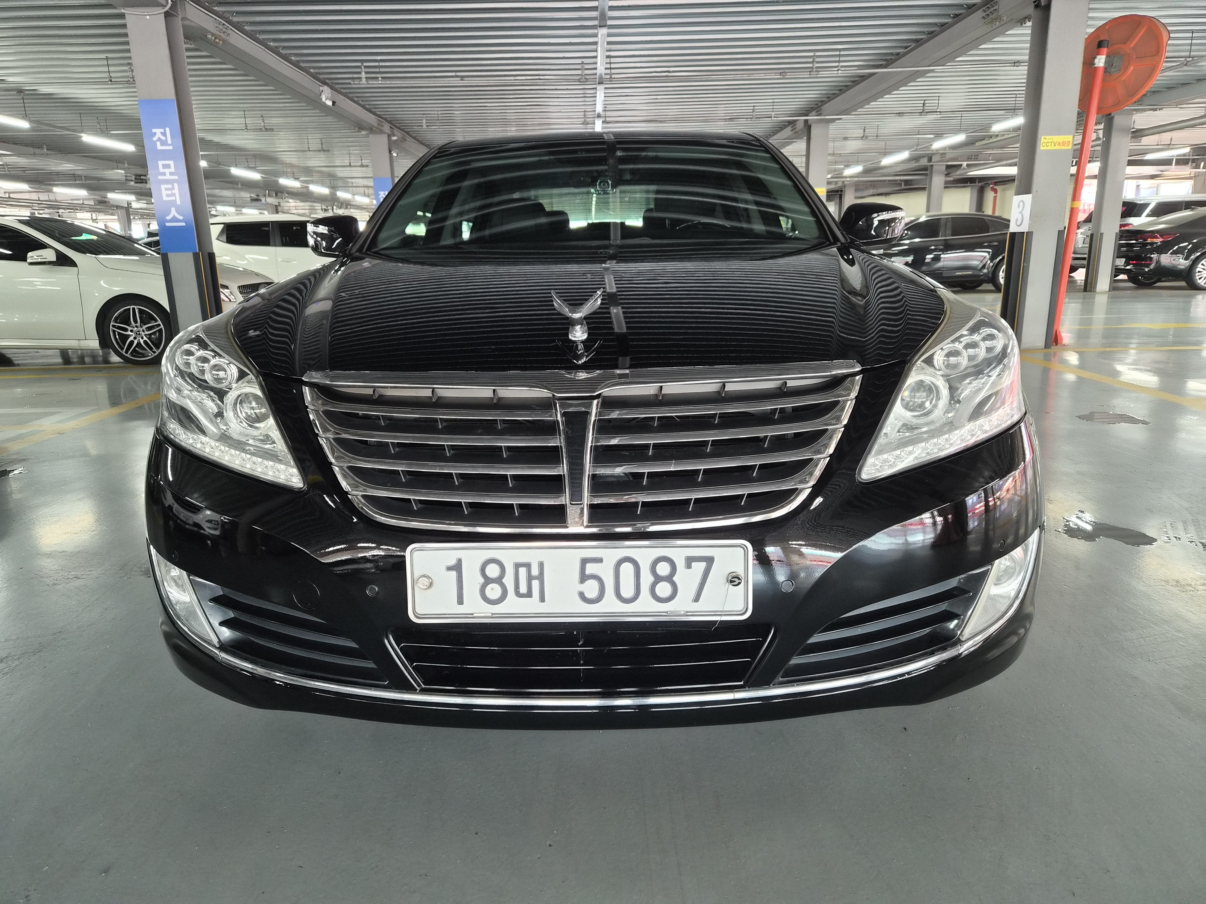 Hyundai Equus 2014 — фото осмотра 1