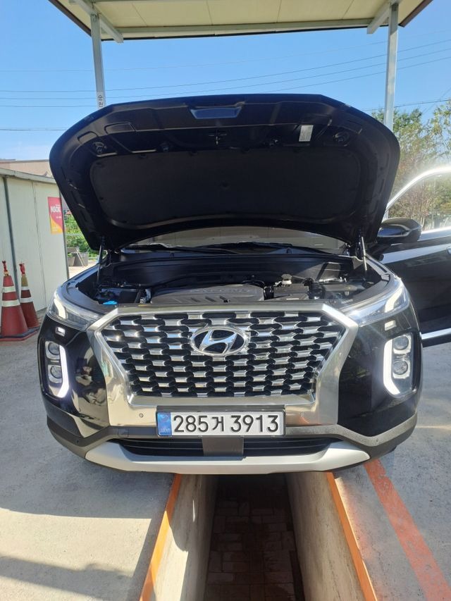 Hyundai Palisade 2019 — фото осмотра 1