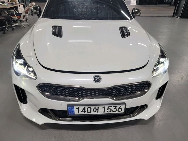 Kia Stinger 2019 — фото осмотра 1