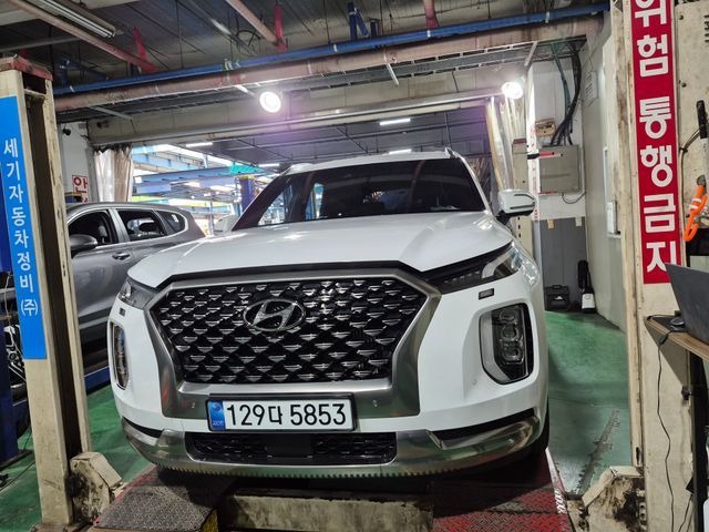 Hyundai Palisade 2022 — фото осмотра 1