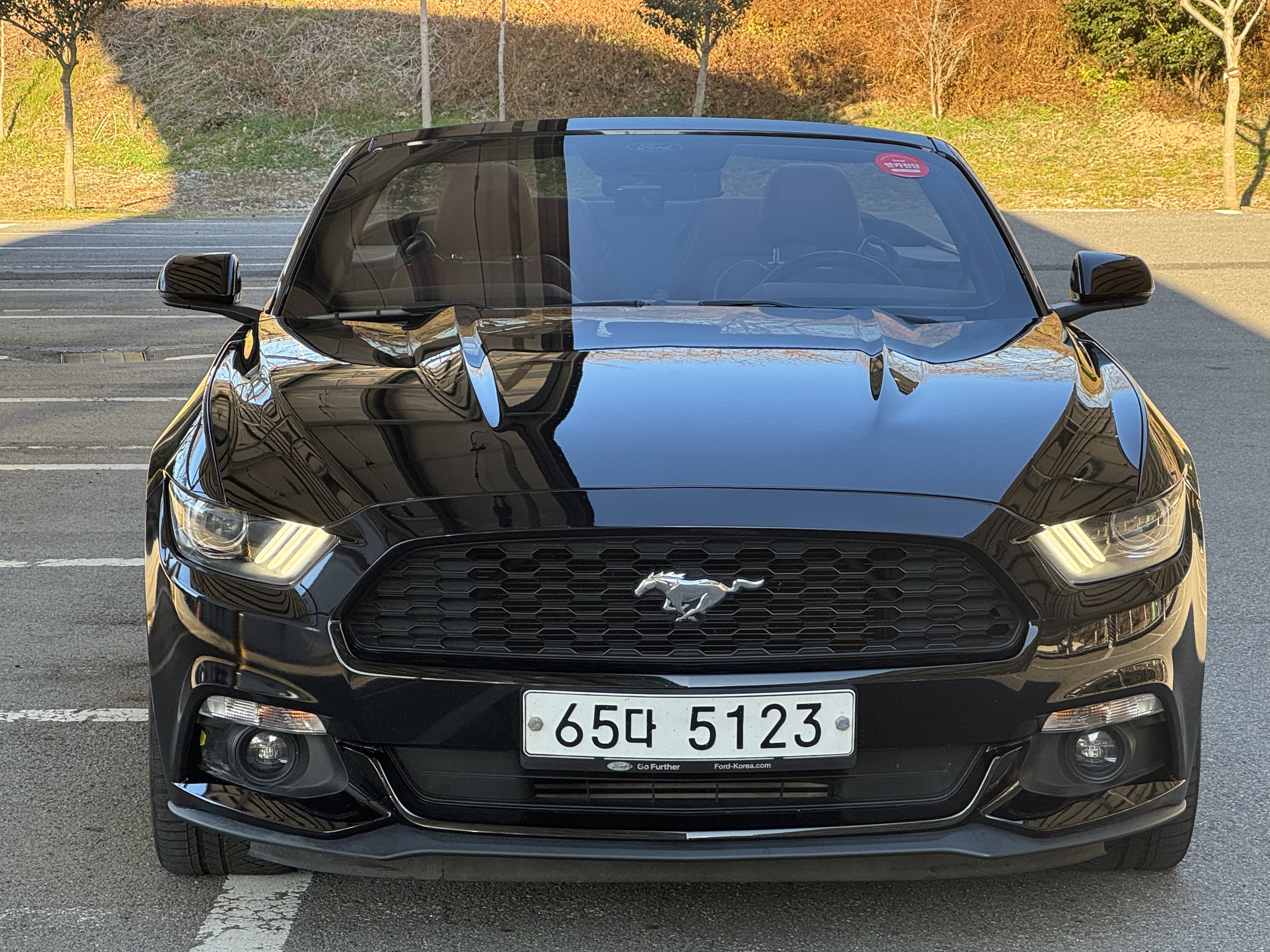 Ford Mustang 2017 — фото осмотра 1