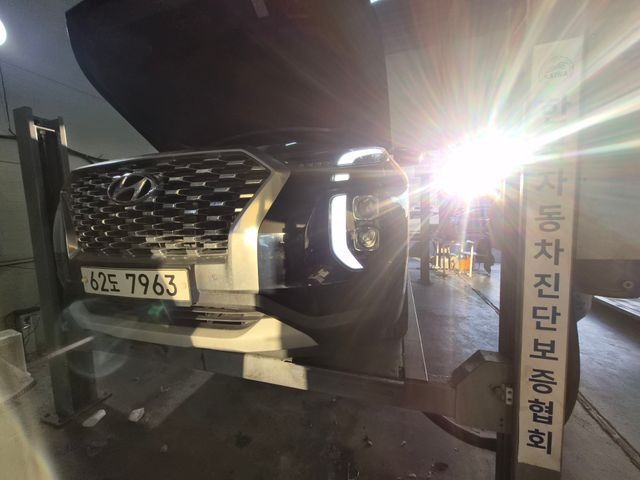 Hyundai Palisade 2019 — фото осмотра 1