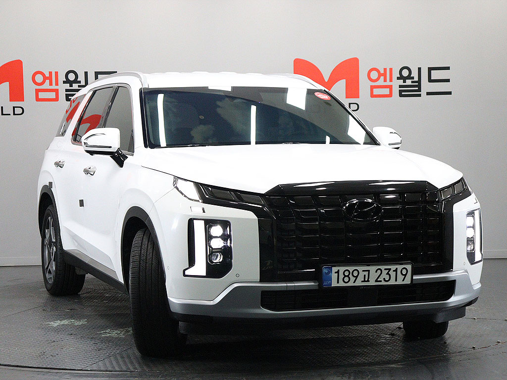 Hyundai Palisade 2023 — фото осмотра 1