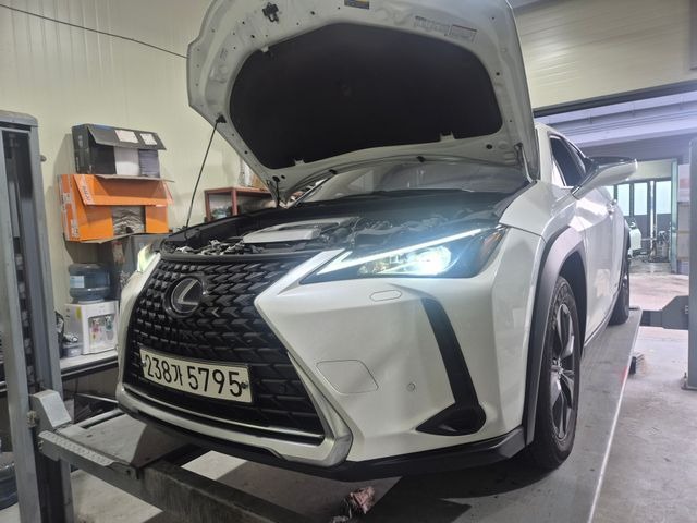 Lexus UX 2020 — фото осмотра 1