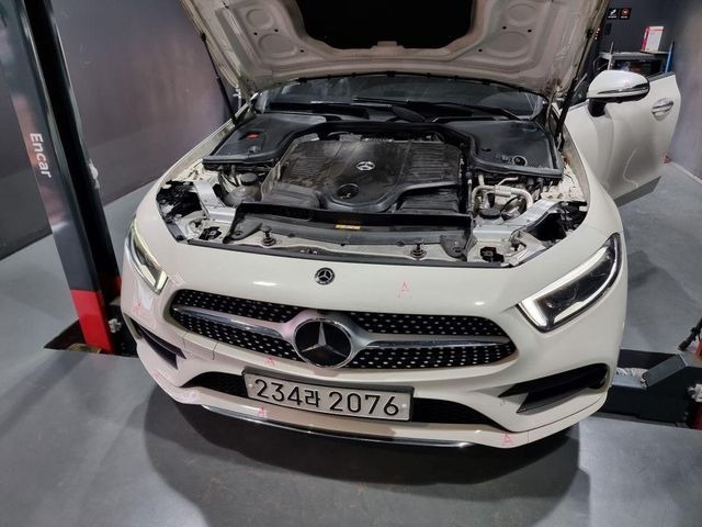 Mercedes-Benz CLS-Class 2019 — фото осмотра 1