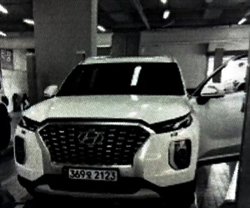 Hyundai Palisade 2021 — фото осмотра 1