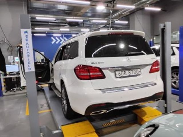 Mercedes-Benz GLS-Class 2017 — фото осмотра 2