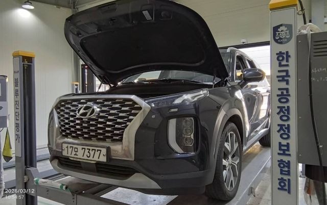 Hyundai Palisade 2019 — фото осмотра 1