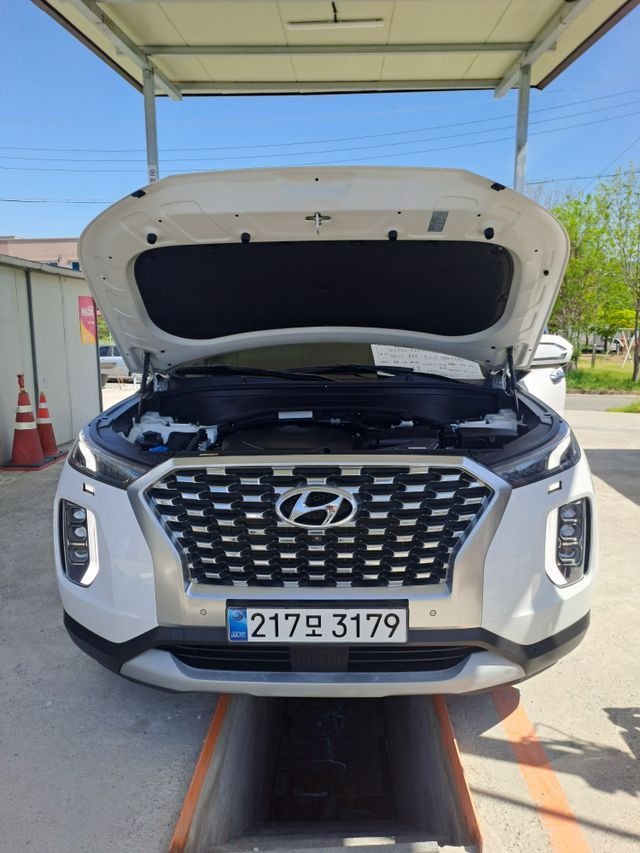 Hyundai Palisade 2020 — фото осмотра 1
