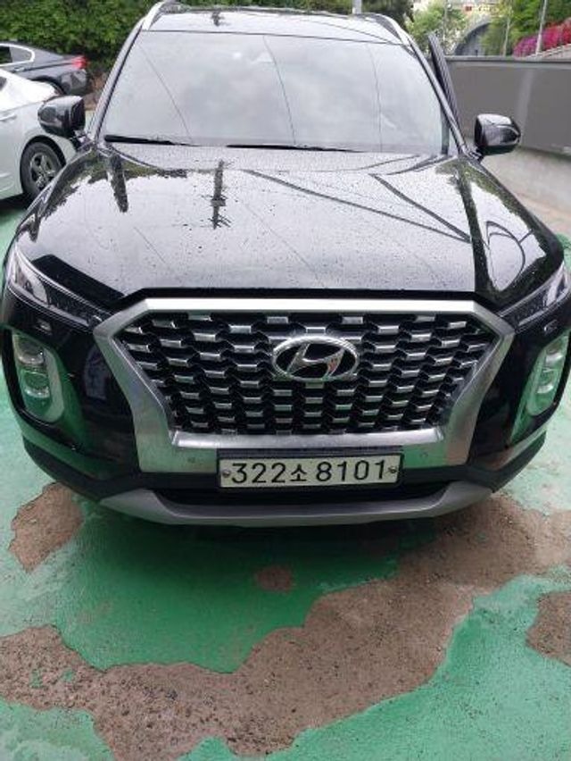 Hyundai Palisade 2019 — фото осмотра 1