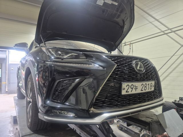 Lexus NX 2019 — фото осмотра 1