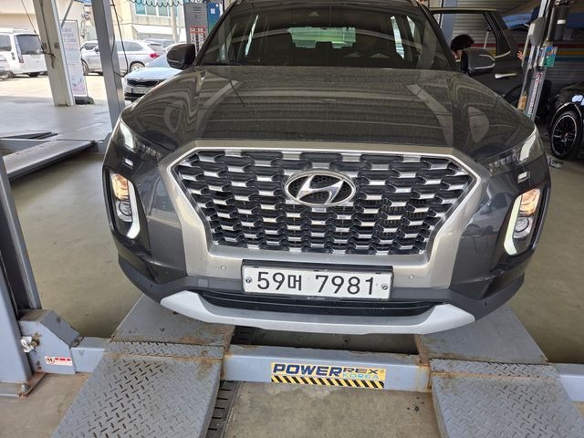 Hyundai Palisade 2019 — фото осмотра 1